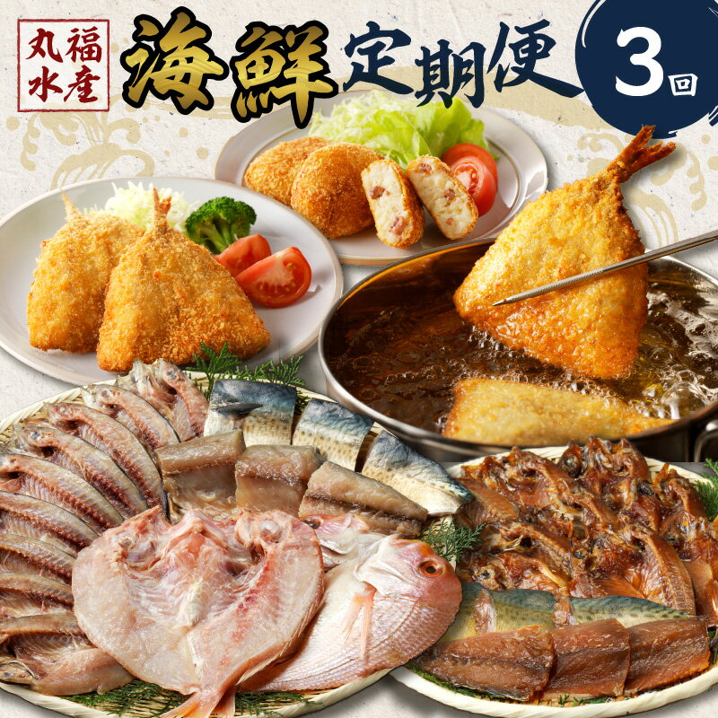 【ふるさと納税】丸福水産・海鮮定期便【3回】 ＼レビューキャンペーン実施中／