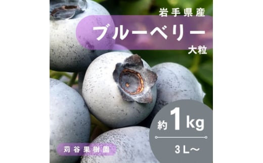 ＜期間限定＞＜苅谷果樹園＞大粒ブルーベリー(3L～サイズ)約1kg　小分けパック　岩手県軽米町【1518037】