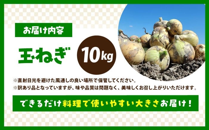 訳あり 玉ねぎ 10kg 　【えぐちファーム】 [HDE002] 不揃い たまねぎ 小玉 玉葱 中生 晩生 タマネギ 佐賀県