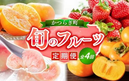 【定期便4回】 旬の フルーツ定期便 / はれひめ みかん いちご まりひめ 桃 秀品 柿 種無し フルーツ 定期便 ふるーつ定期便 フルーツ 詰め合わせ 果物定期便 【kgr025】