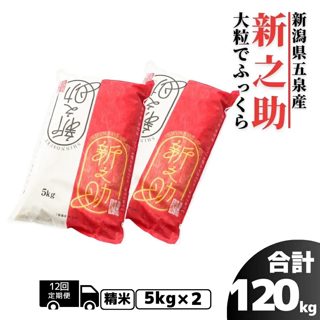 【定期便12回】【先行予約】令和8年産 新之助 10kg×12回 計120kg | 新潟県 五泉市 新之助