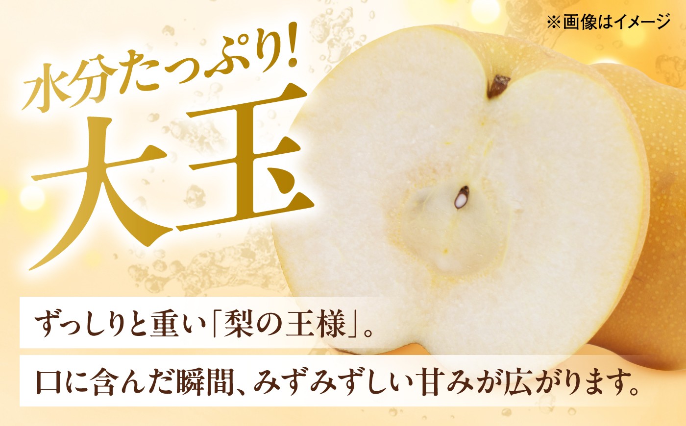 梨 なし ナシ 和梨 果物 フルーツ 国産梨 ナシ なし 豊水 ほうすい 甘い ジューシー 多汁 旬 愛媛