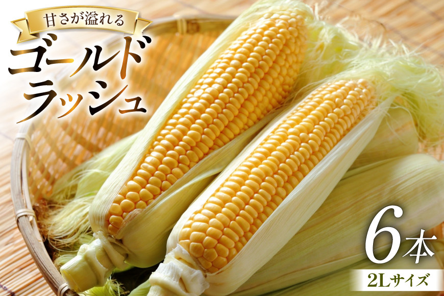 
            【期間限定発送】 とうもろこし ゴールドラッシュ 6本入り 2Lサイズ 山梨県中央市産 [アクロプラス 山梨県 中央市 21471053] トウモロコシ スイートコーン 甘い コーン 野菜
          