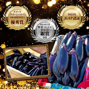 【ふるなびWEEK対象】朝採れナス 約1.5kg 高知県安芸市｜ナス