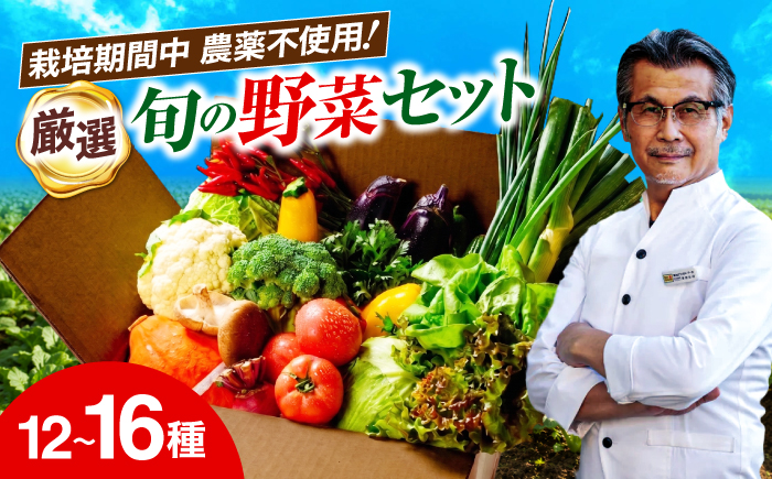 【シェフの目線】栽培期間中農薬不使用！大満足 旬のお野菜セット　愛媛県大洲市/有限会社ヒロファミリーフーズ[AGBX003]野菜 サラダ カレー 農業 トマト 料理  きゅうり 鍋 とうもろこし 果物 ミニトマト 農園 新鮮 旬の味 健康 和食 洋食 中華 産地直送 国産 安心安全 JAS認定 有機無農薬 有機栽培 減農薬栽培 有機JAS オーガニック