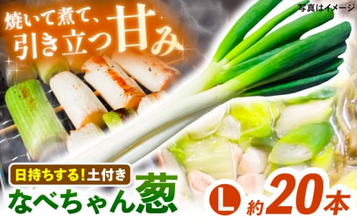 【先行予約】【2025年11月発送開始】焼いてそのまま美味しい！なべちゃん葱（土付き）秀品 Lサイズ5kg（約20本） ねぎ ネギ 島根県雲南市/山さんファーム [AICO002]