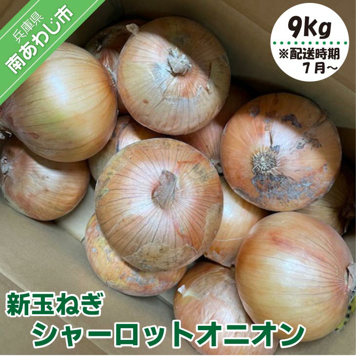 【ふるさと納税】【7月以降発送】新玉ねぎ　シャーロットオニオン 9kg◆配送 7月上旬〜9月末
