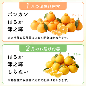 【旬の柑橘詰め合わせ 2.5㎏ 】訳あり 訳アリ わけあり 規格外 不揃い 傷 柑橘 詰め合わせ 食べ比べ 2種以上 セット ミカン みかん 蜜柑 ポンカン ぽんかん せとか デコポン 不知火 しらぬ