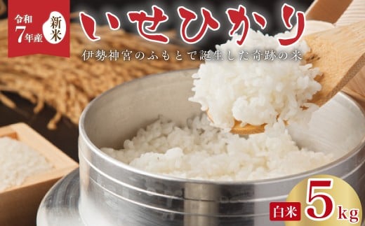 【先行予約 令和7年産 新米 】いせひかり 精米 5kg |  米 白米 新米 お米 ご飯 伊勢ひかり 伊勢光 いせひかり イセヒカリ 森 ミネラル 水 山田川 安全 安心 美味しい 米 人気 自然栽培 つやつや あっさり 茨城県 常陸太田市