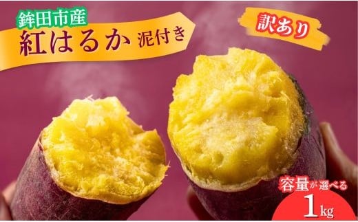 さつまいも 紅はるか 訳あり品 （A品不揃い） 1kg 泥付き