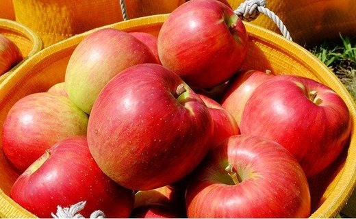 17-E　[予約開始！]　荒明果樹園　人生をかけた、極上りんご（つがる）5kg（一段詰め）｜ りんご リンゴ 林檎 果物 くだもの フルーツ 福島県 会津坂下町 ※2025年9月上旬頃より順次発送予定