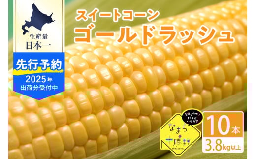 【2025年分先行予約】北海道十勝芽室町 スイートコーンゴールドラッシュ 10本 me001-003c-25