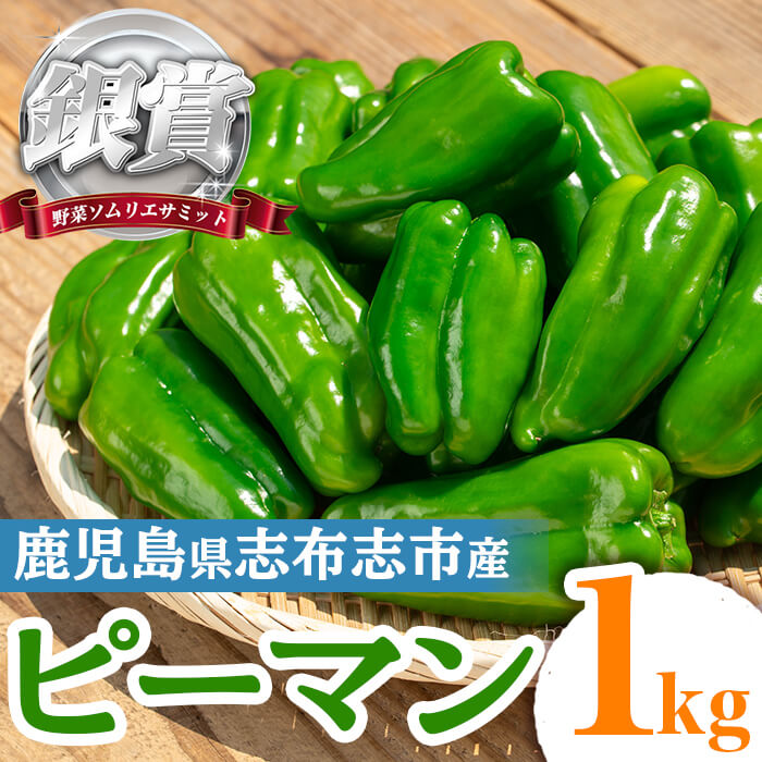 【ふるさと納税】志布志産ピーマン(1kg) ピーマン 野菜 やさい ぴーまん 新鮮 常温 常温保存 おかず 詰め合わせ 銀賞 銀賞受賞 野菜ソムリエサミット 【Farmers Villa Ume】p8-149