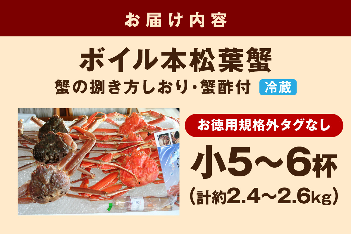 【 国産日本海の松葉蟹をボイルでお届け! 】【先行予約】 ボイル本松葉蟹 小5~6杯(規格外品タグなし)<12月10日~2月末までのお届け> 国産 カニ 魚介類 魚貝類 海の幸 カニ クリスマス 年内