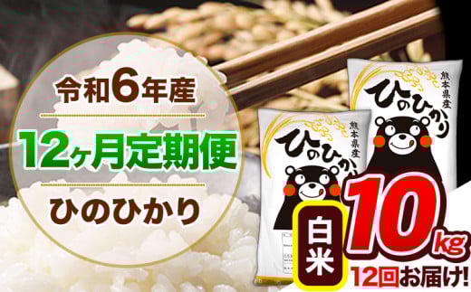 【12ヶ月定期便】令和6年産 定期便 ひのひかり 10kg 《申込み翌月から発送》令和6年産 熊本県産 ふるさと納税 白米 精米 ひの 米 こめ ふるさとのうぜい ヒノヒカリ コメ 熊本米 ひのもり