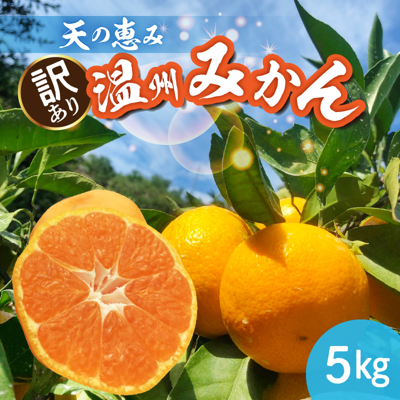 【2026年先行予約】天の恵み 温州みかん 訳あり 5kg【ミカン 蜜柑 柑橘 温州みかん 和歌山】_H6012n