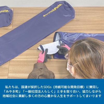 ふるさと納税 みやき町 【みやき町限定】「ストレッチポール(R)EX《ネイビー》(LPN社製)」_SS367 |  | 02
