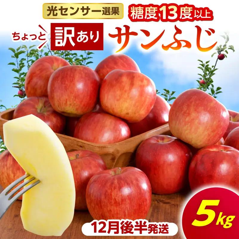 【2026年12月後半発送】【ちょっと訳あり】 りんご 約5kg サンふじ 青森県産 りんご