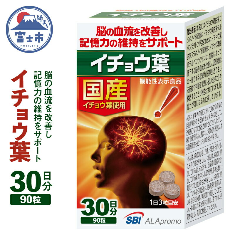 【ふるさと納税】a1241SBIアラプロモ　「イチョウ葉」　90粒