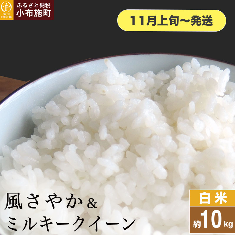 風さやか＆ミルキークイーン 食べ比べ 約10kg ［ おぶせファーマーズ ］ お米 コメ おこめ ご飯 精米 長野県産 2種【2025年11月上旬～発送】