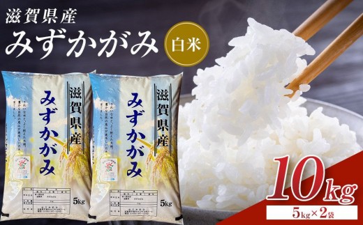 
                  【令和8年産 新米 先行予約】近江米みずかがみ白米10kg（5kg×2袋）※2026年9月～発送
                