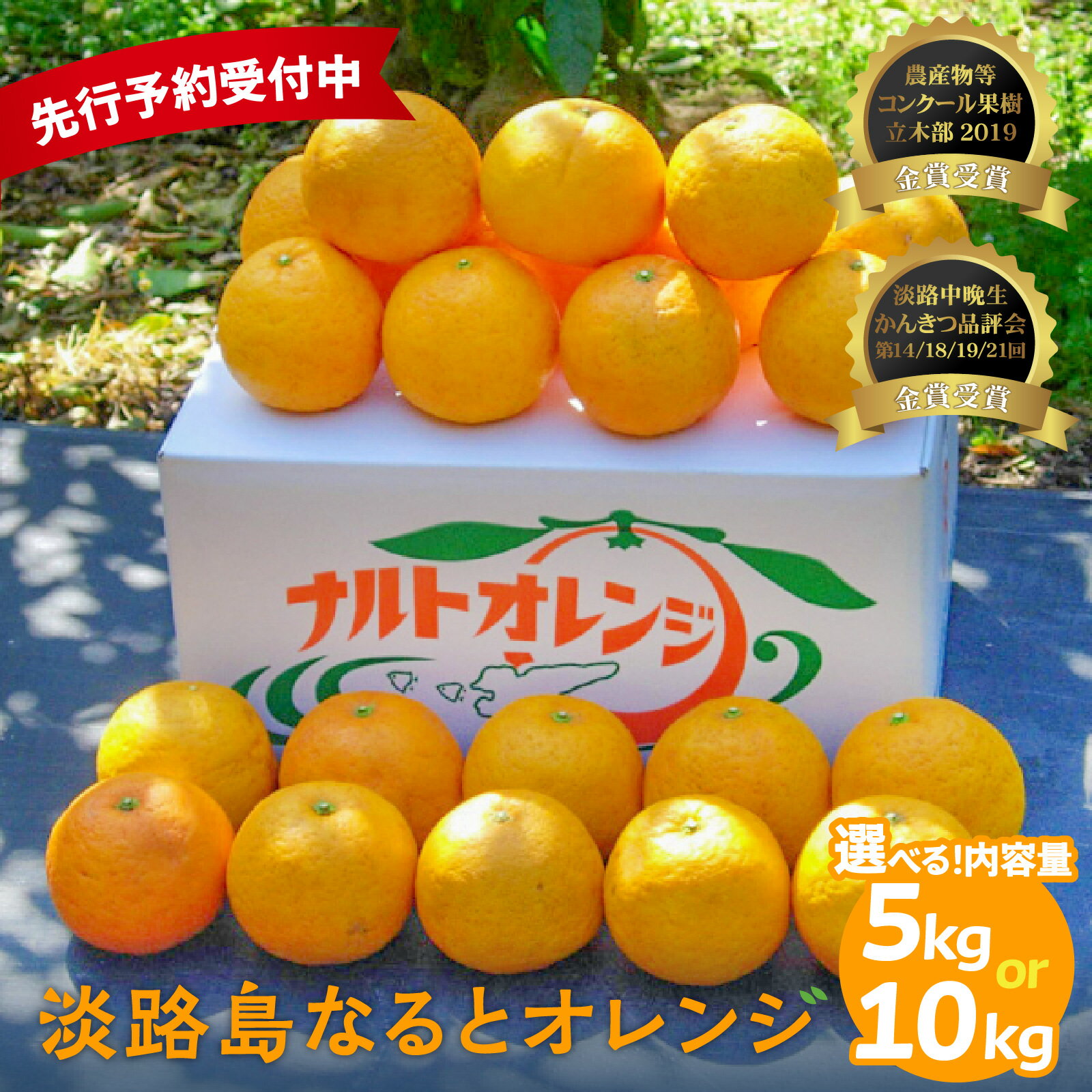 【ふるさと納税】【先行予約／数量限定】 淡路島なるとオレンジ 選べる容量 5kg/10kg ※2026年4月上旬頃より順次発送予定 若宮ミカン農園 みかん オレンジ フルーツ ミカン 果物 果実 青果 兵庫県 淡路島 洲本市産 農園 農家 有機 幻 まぼろし 送料無料