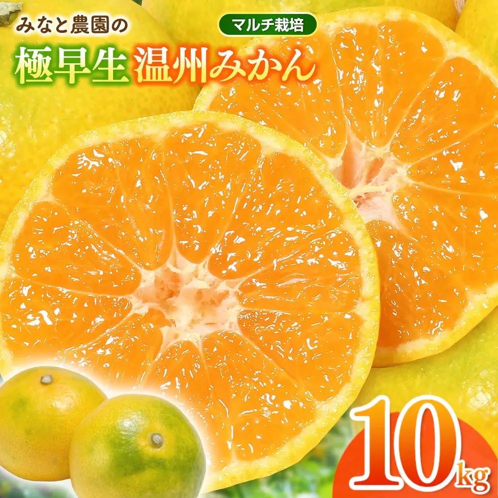 みかん 極早生温州みかん 約10kg マルチ栽培【mntf0004】