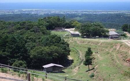 C4-29 【草地和牛】レトルト 麻婆料理の素（1人前200g）6個入り