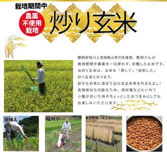 炒り玄米1kg　栽培期間中農薬不使用　静岡市葵区産