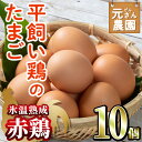 【ふるさと納税】＜氷温熟成＞平飼い赤鶏のたまご 黄嬉 (計10個) 元さん農園 卵 玉子 卵かけご飯 玉子焼き 平飼い 鶏 鶏卵 養鶏場直送 朝採れ 新鮮 大分県 佐伯市 【GE007】【 (株)海九】