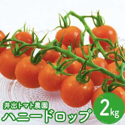 【ふるさと納税】トマト 井出トマト農園 ハニードロップ 2kg A1　 フルーツトマト ミニトマト 野菜