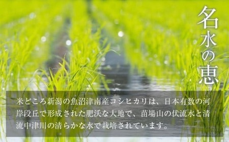 【令和7年産新米予約】魚沼津南産コシヒカリ「名水の恵」5kg