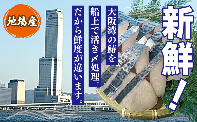 さわら西京漬け 2切れ×3P【小分け 切り身 海産 魚 お弁当 焼き魚 冷凍 惣菜 焼くだけ 大阪 泉佐野 大阪府 泉佐野市】