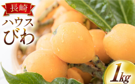 【2026年4月中旬〜発送】長崎ハウス びわ 約1kg (250グラム×4パック) / びわ びわ びわ びわ びわ びわ びわ / 農産品 [SCB089] 