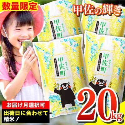 ふるさと納税 甲佐町 令和7年産『甲佐の輝き』精米20kg【配送指定可】【ZL】