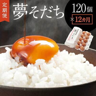 【ふるさと納税】C-3【12か月定期便】お届け日時の指定可能「夢そだち120個」厳選飼料を食べて育った自社養鶏場の新鮮卵を♪