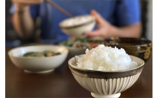 2025年産 京都・弥栄産 ササニシキ 玄米30kg（栽培期間中農薬不使用）　HD00014