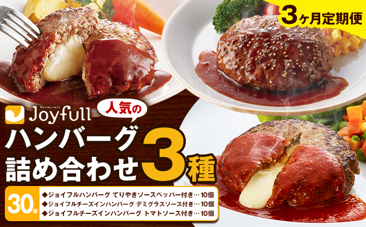 【3ヶ月定期便】ジョイフルハンバーグ 人気の詰め合わせ ソース付き 食べ比べ 3種類 セット 30個 定期便 亀井通産株式会社《お申込みの翌月出荷予定》熊本県 菊池市 生ハンバーグ チーズインハンバーグ 牛肉 ジョイフル 焼くだけ ハンバーグ