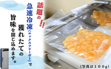 岬だより 貝専門店 天然の青柳小柱　100g×10袋 [配送不可地域：離島]