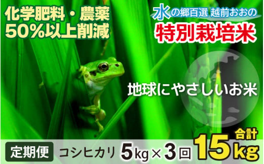 【先行予約】【令和6年産 新米】【3ヶ月定期便】こしひかり 5kg × 3回 計15kg【白米】減農薬・減化学肥料 「特別栽培米」－地球にやさしいお米－