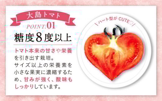 トマト 高糖度 【2025年収穫分先行予約】【3kg×3回 定期便 】糖度8度以上の果実！ 大島 トマト 計9kg  西海市産 トマト とまと 訳あり トマト 大島トマト 甘いトマト ＜大島造船所 農