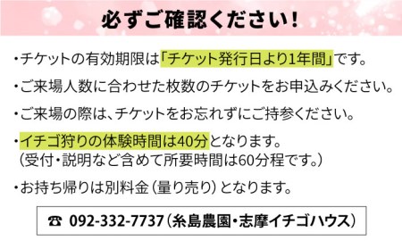 【志摩イチゴハウス】いちご狩り チケット ( 大人 1名様 分 ) 糸島市 / 株式会社 糸島農園 [APM001]