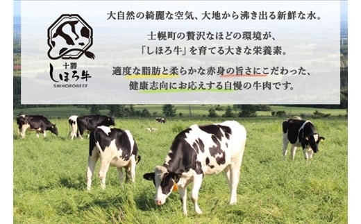 【CF】北海道 しほろ牛 リブロース スライス 800g ロース 牛 赤身肉 国産牛 肉 ビーフ すき焼き しゃぶしゃぶ 国産 牛肉 冷凍 詰合せ お取り寄せ 送料無料 十勝 士幌町【S06】