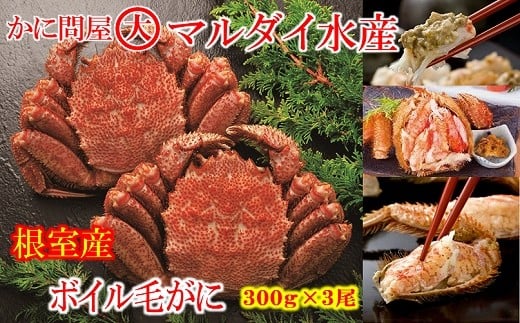 C-01062【12/21まで年内配送】 【北海道根室産】ボイル毛がに300g×3尾