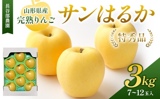 長谷部農園 完熟りんご『サンはるか』 特秀品 3kg 化粧箱 7～12玉入 山形県産 《2026年12月発送開始》 FSY-2786