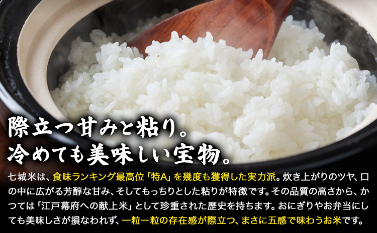 【3ヶ月定期便】令和7年産 菊池市七城町産 田代家の七城米 七城ヒノヒカリ 白米 10kg 田代こめや《お申込み翌月から出荷》熊本県 菊池市 米 お米 精米 ひのひかり 菊池市産 熊本県産 九州産 送