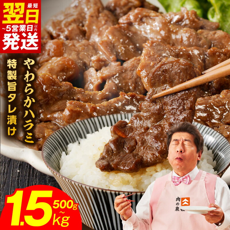 【ふるさと納税】最短翌日発送 【発送月が選べる】【訳あり】 やわらかハラミ 500g / 1kg / 1.5kg 特製旨タレ漬け 味付き 氷温熟成×極味付け 牛 ハラミ 不揃い タレ漬け 焼肉 BBQ 定番 氷温熟成牛 牛肉 熟成肉 小分け 氷温熟成 5営業日 大阪府 泉佐野市 肉の泉佐野