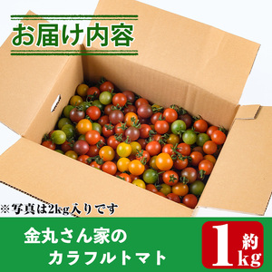 カラフルトマト食べ比べセット(約1kg)  国産 宮崎県産 とまと 野菜 サラダ 黄色 オレンジ みどり 紫 アイコ 赤 セレブスイート 【KT-9】【K.Tfarm】