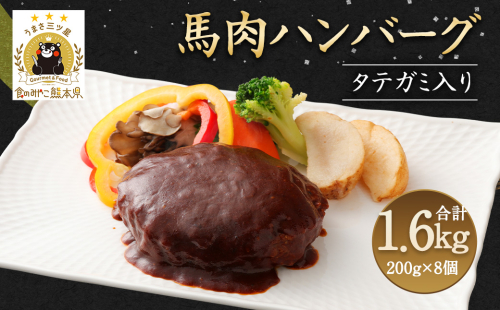 タテガミ入り 馬肉 ハンバーグ デミソース 8個 セット 計1.6kg