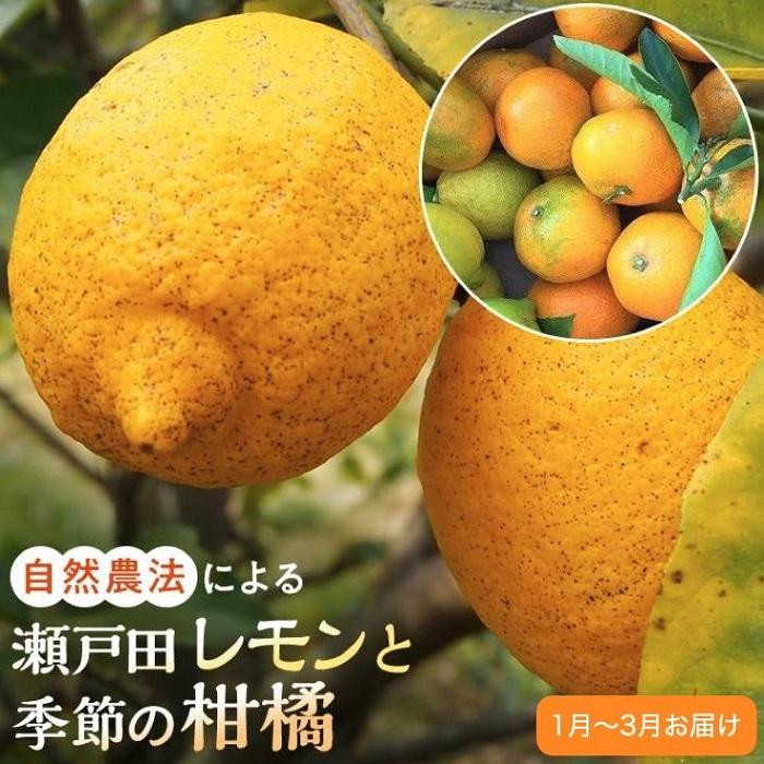 
【先行受付】自然農法による瀬戸田レモン1kgと季節の柑橘詰め合わせ4kg（2024年１月～3月お届け）
